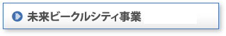 2010 年度 未来ビークルシティ事業